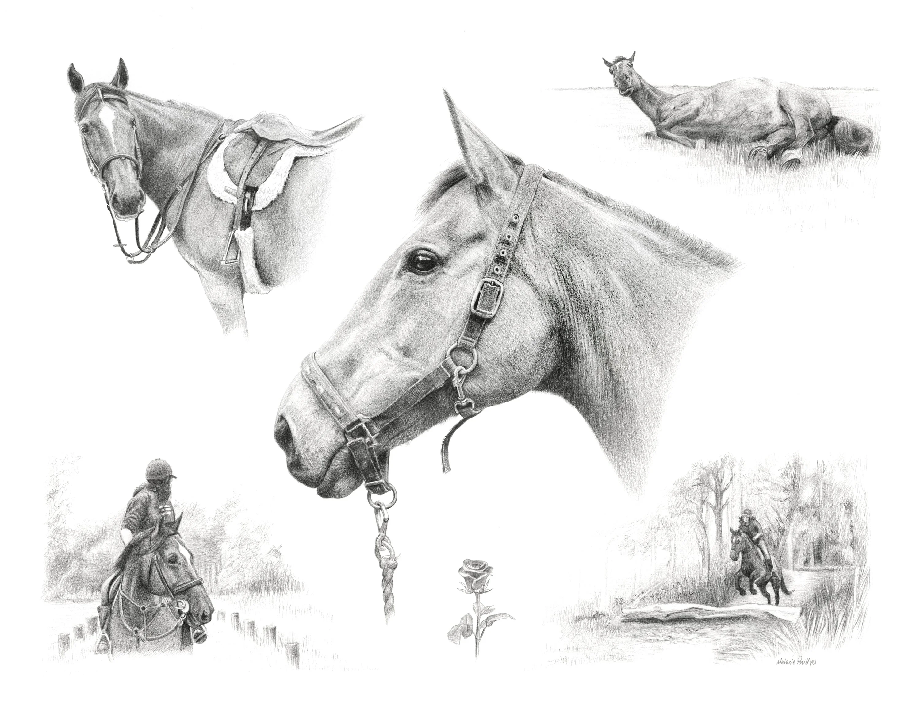 Pencil Portraits Reference Photos