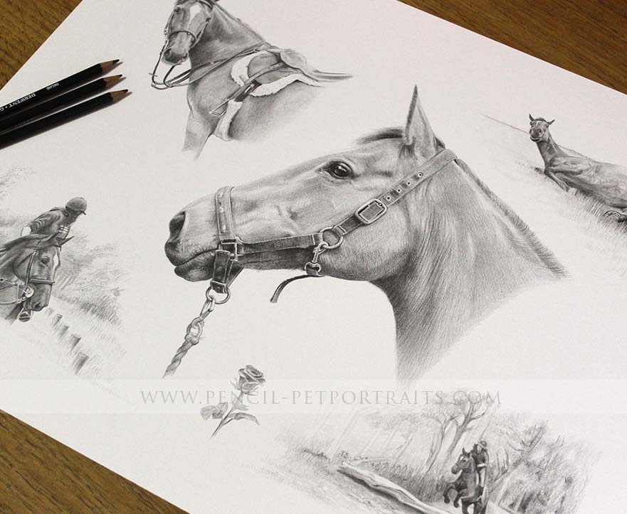 Montage Pet Portraits with Pencils