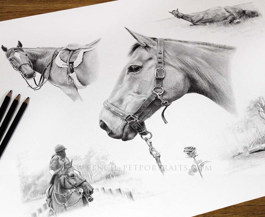 Pencil Montage Pet Portraits