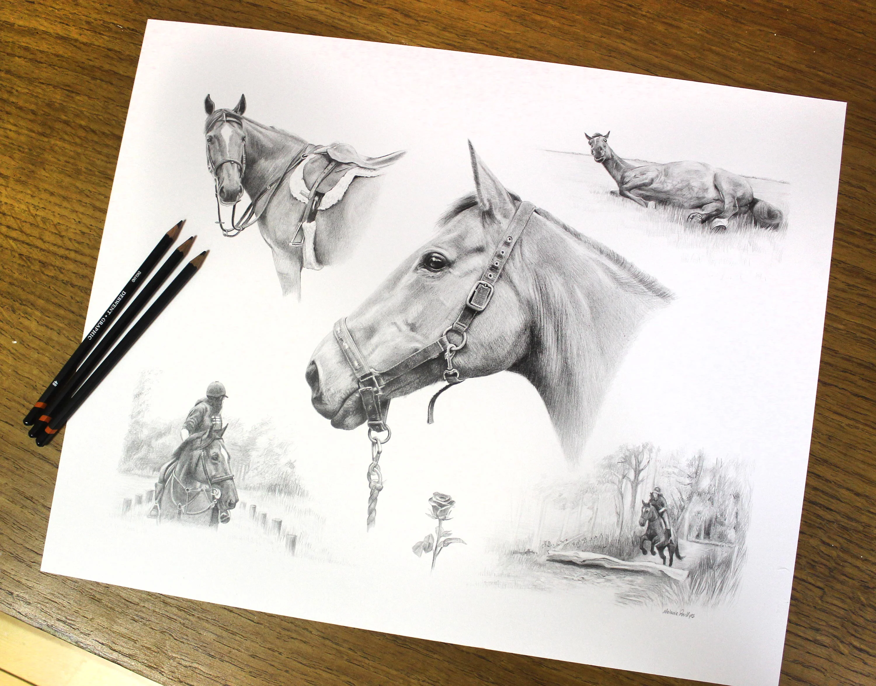 Pencil Montage Pet Portraits