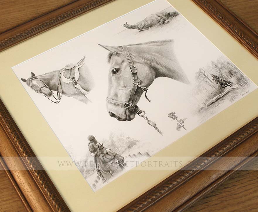 framed montage pet portraits