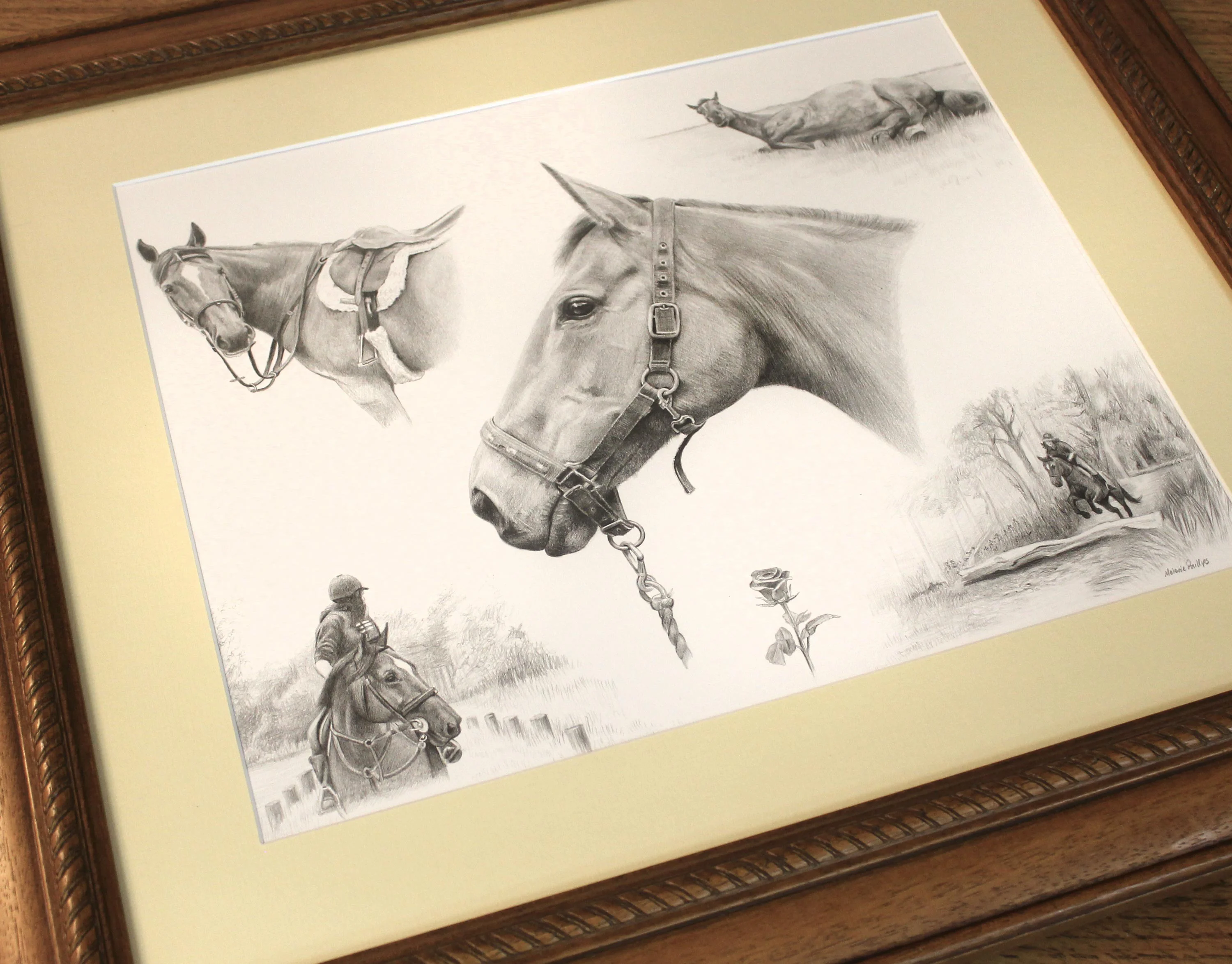 Framed Montage Pet Portraits