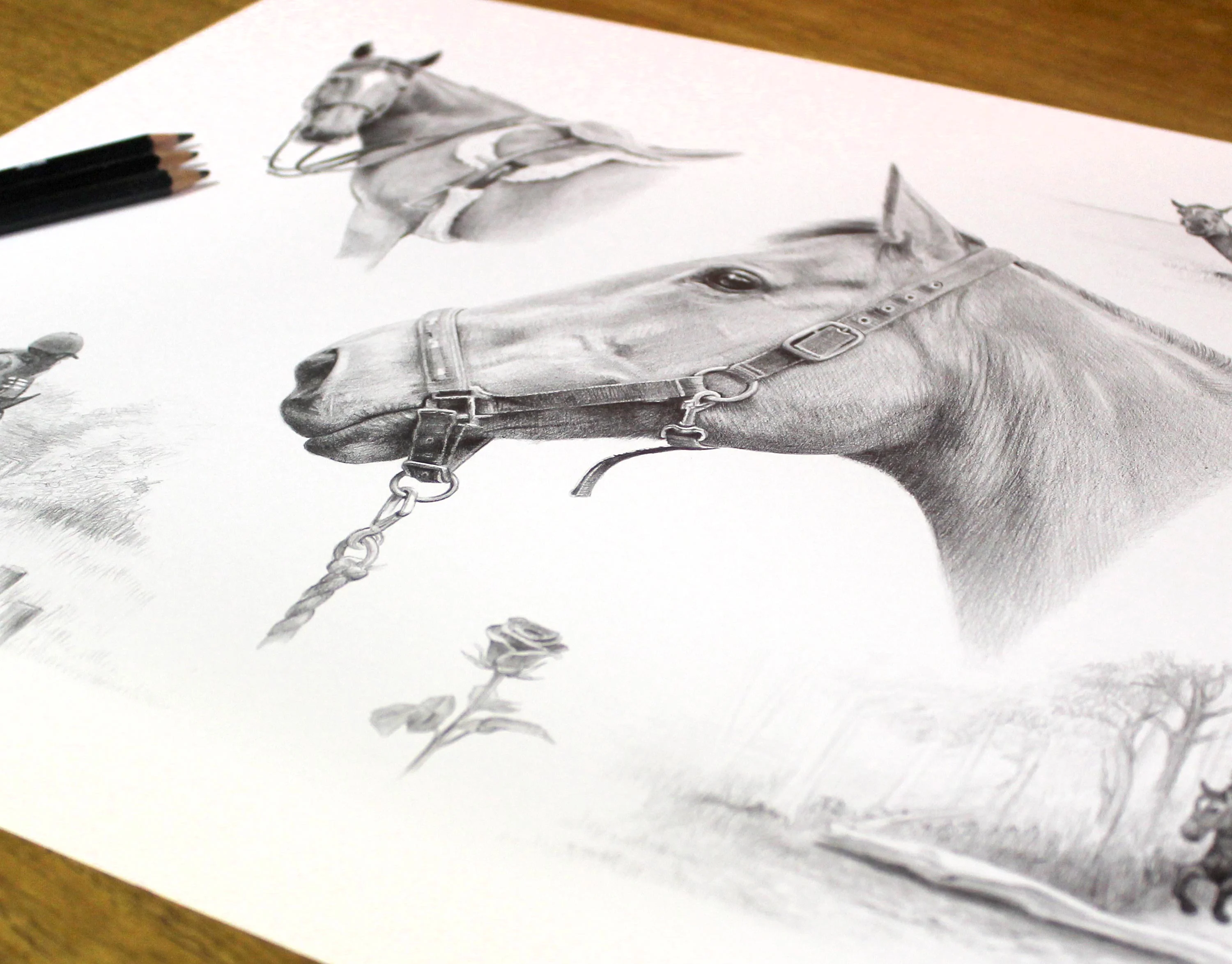 Framed Pencil Montage Pet Portraits