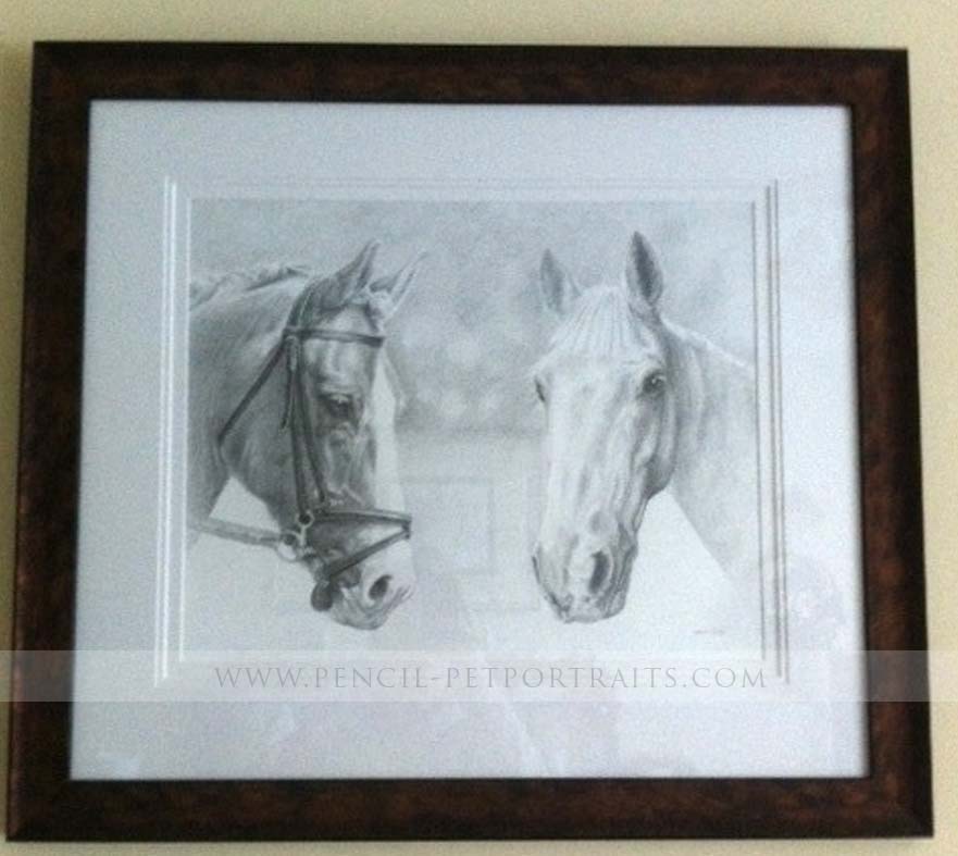 Horse Pencil Portrait Framed