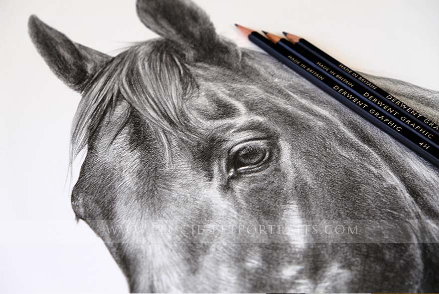 pencil montage pet portraits