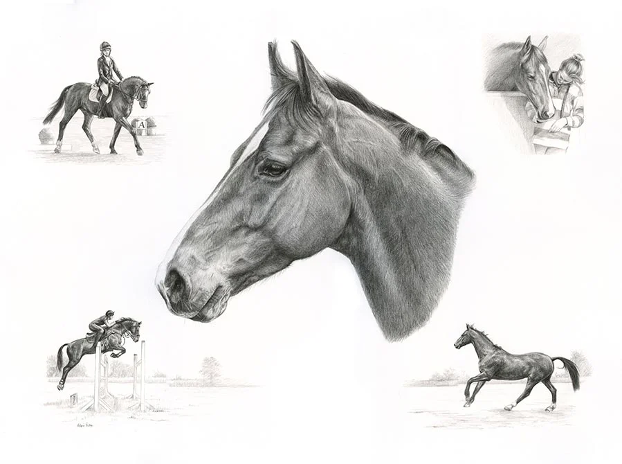 Horse Montage Pet Portraits