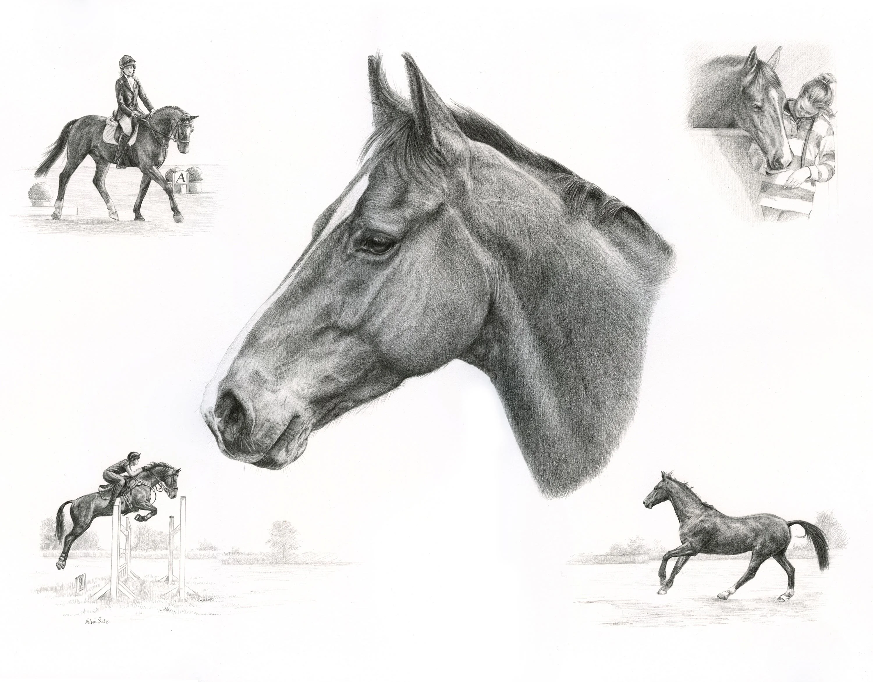 Pencil portraits reference photos