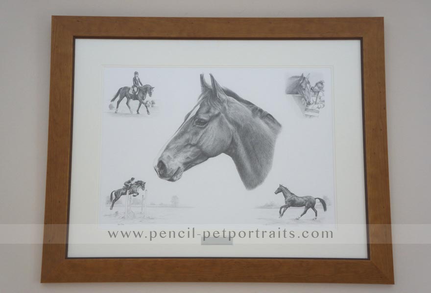 horse pet portraits montage