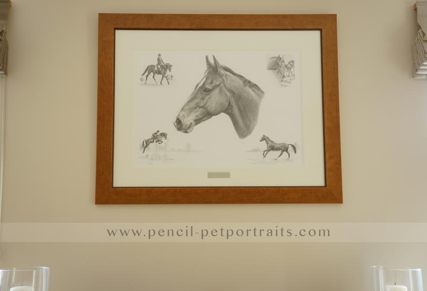 horse pet portraits montage