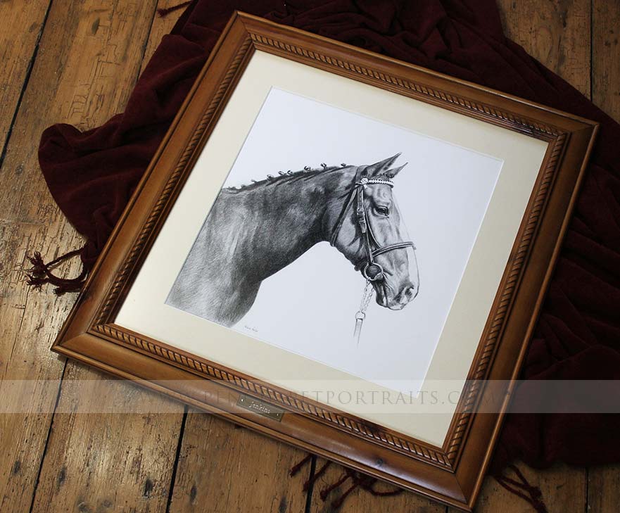 Retired Police Horse Framed Portraits