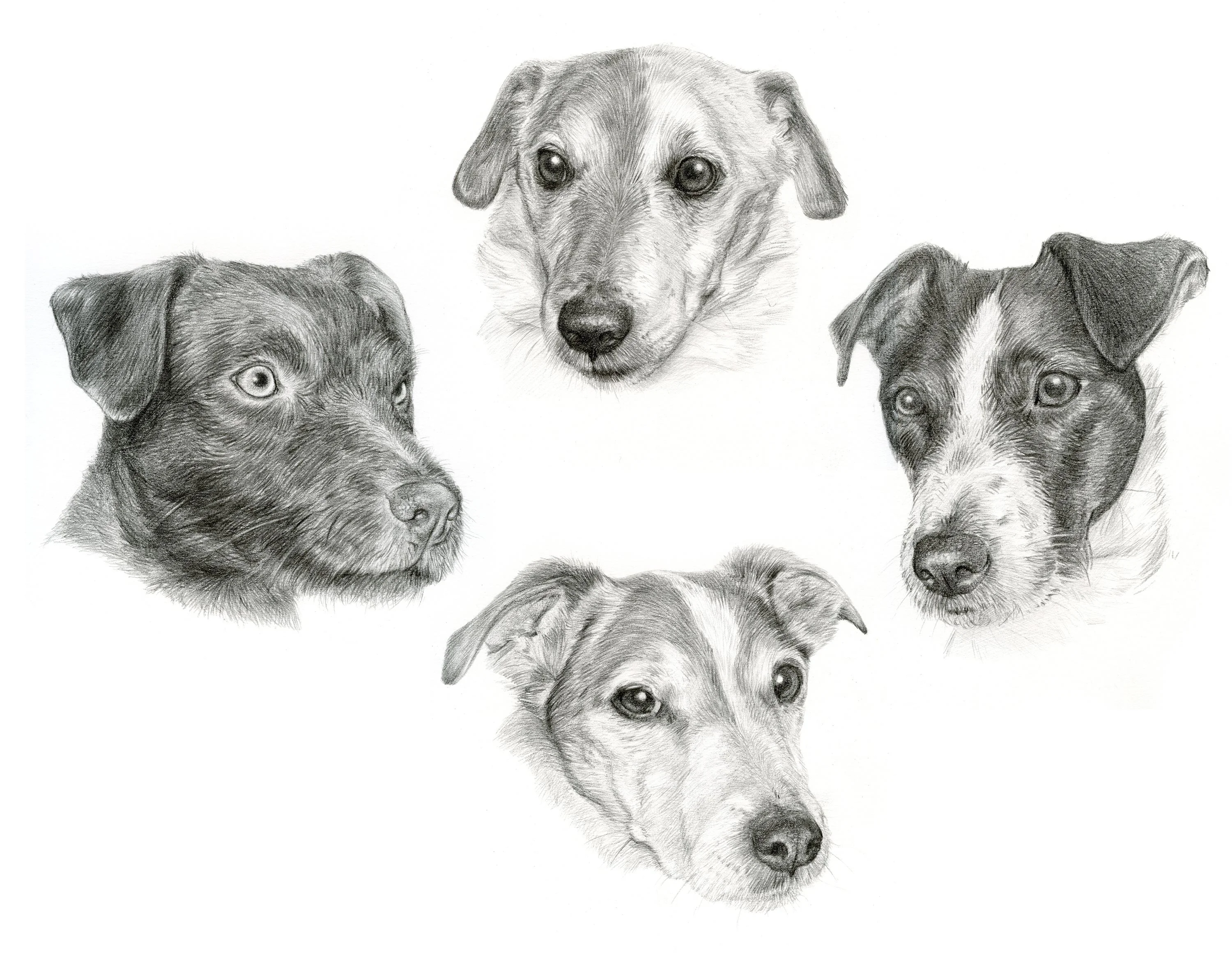 Pencil Portraits Reference Photos