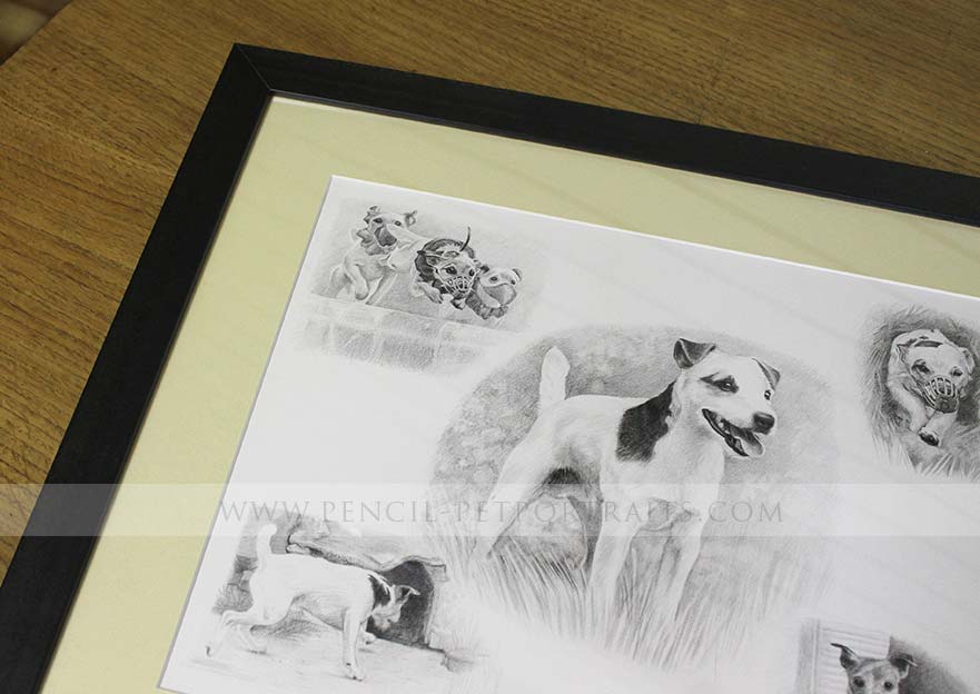 Jack Russell Pet Portraits
