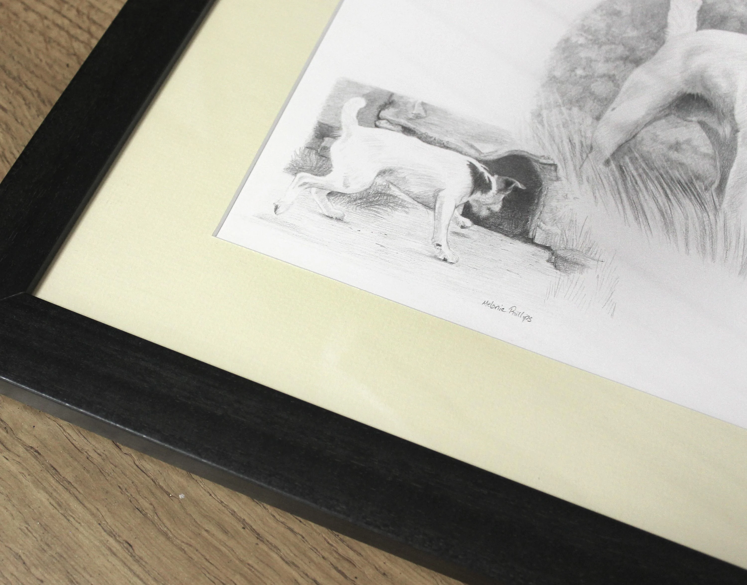 Jack Russell Pet Portraits