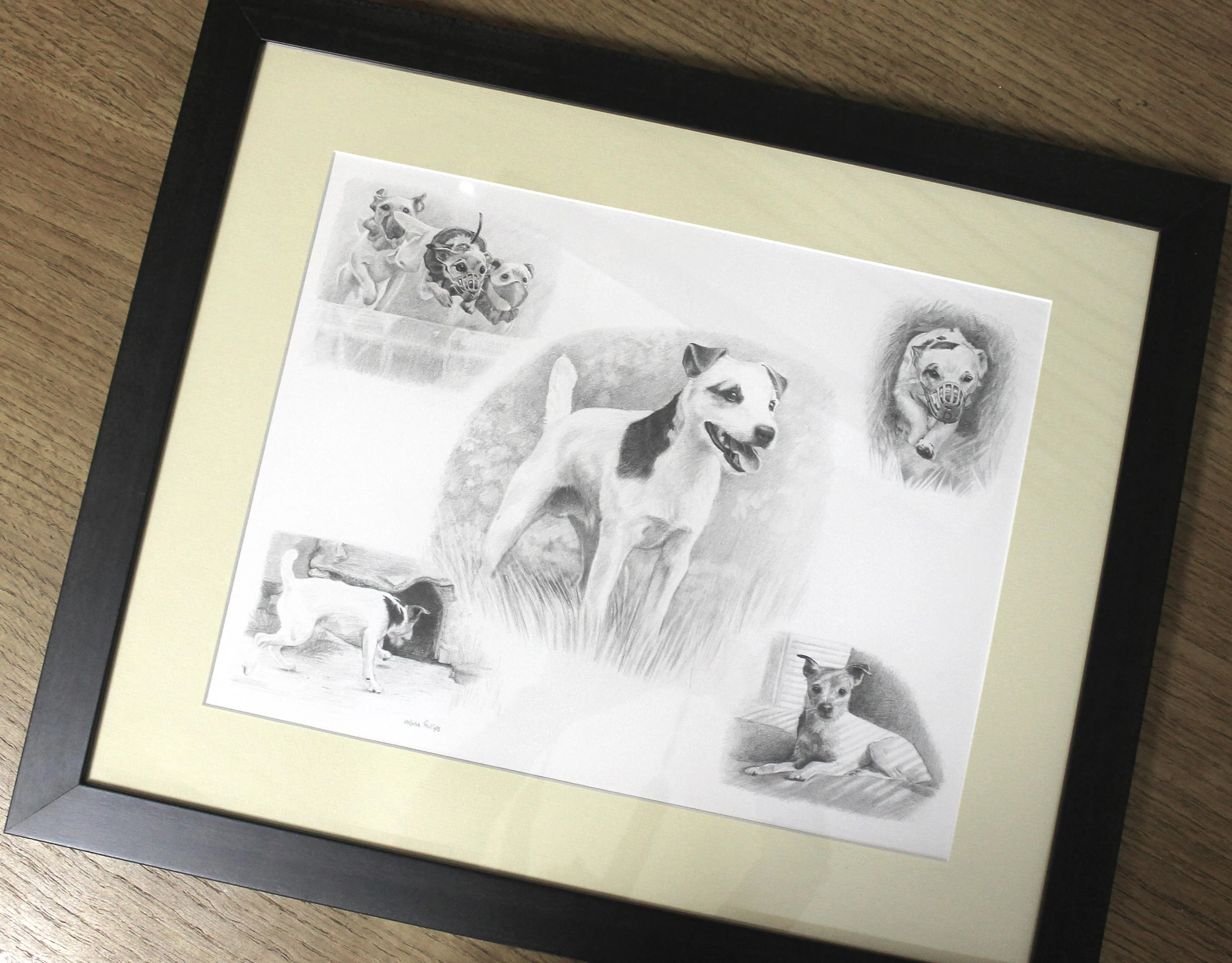Jack Russell Pencil Portraits