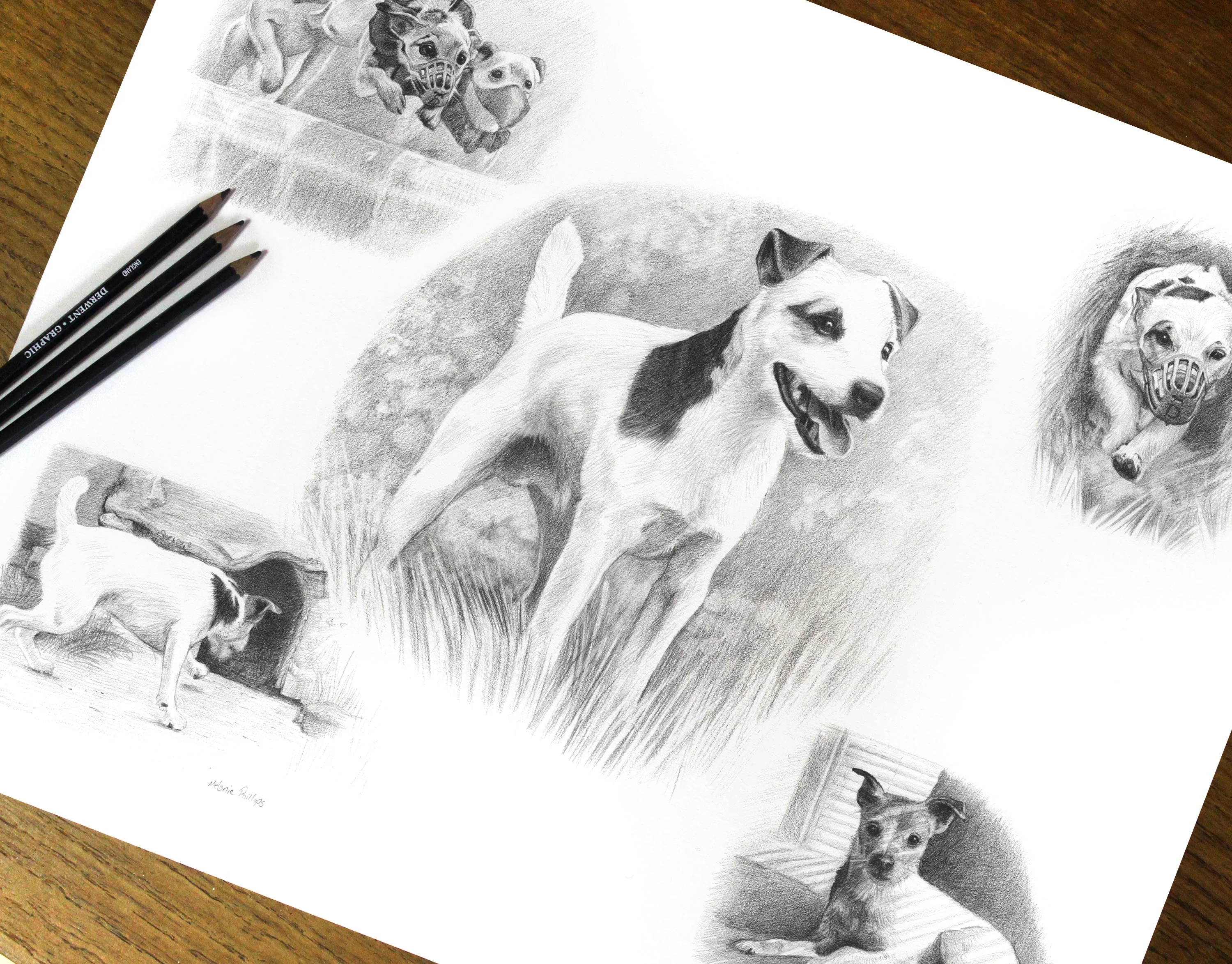 Pencil Pet Portraits