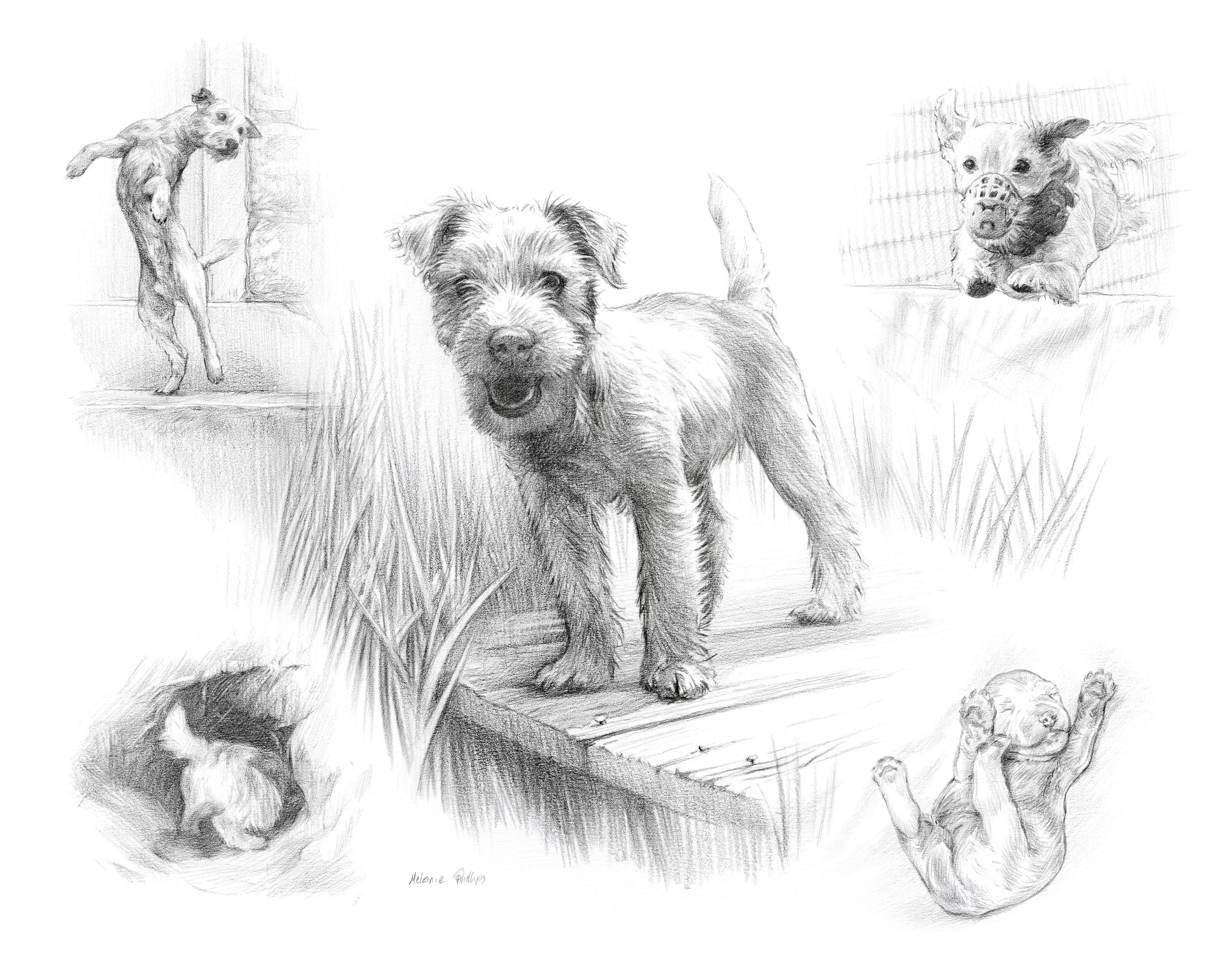 Pencil Portraits Reference Photos