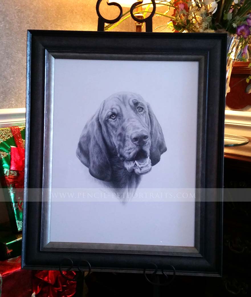 Pencil Pet Portraits