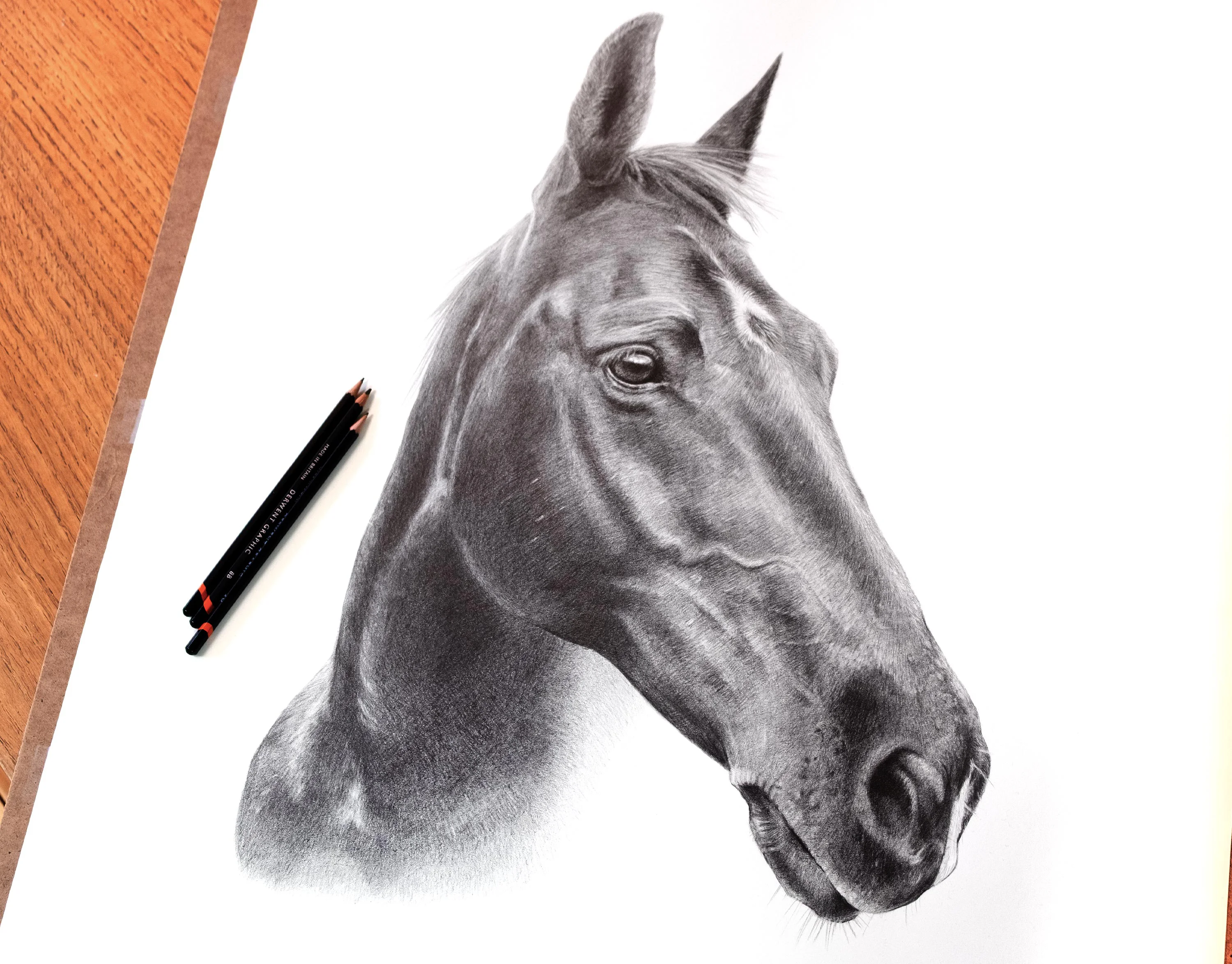 Pencil Horse Portrait