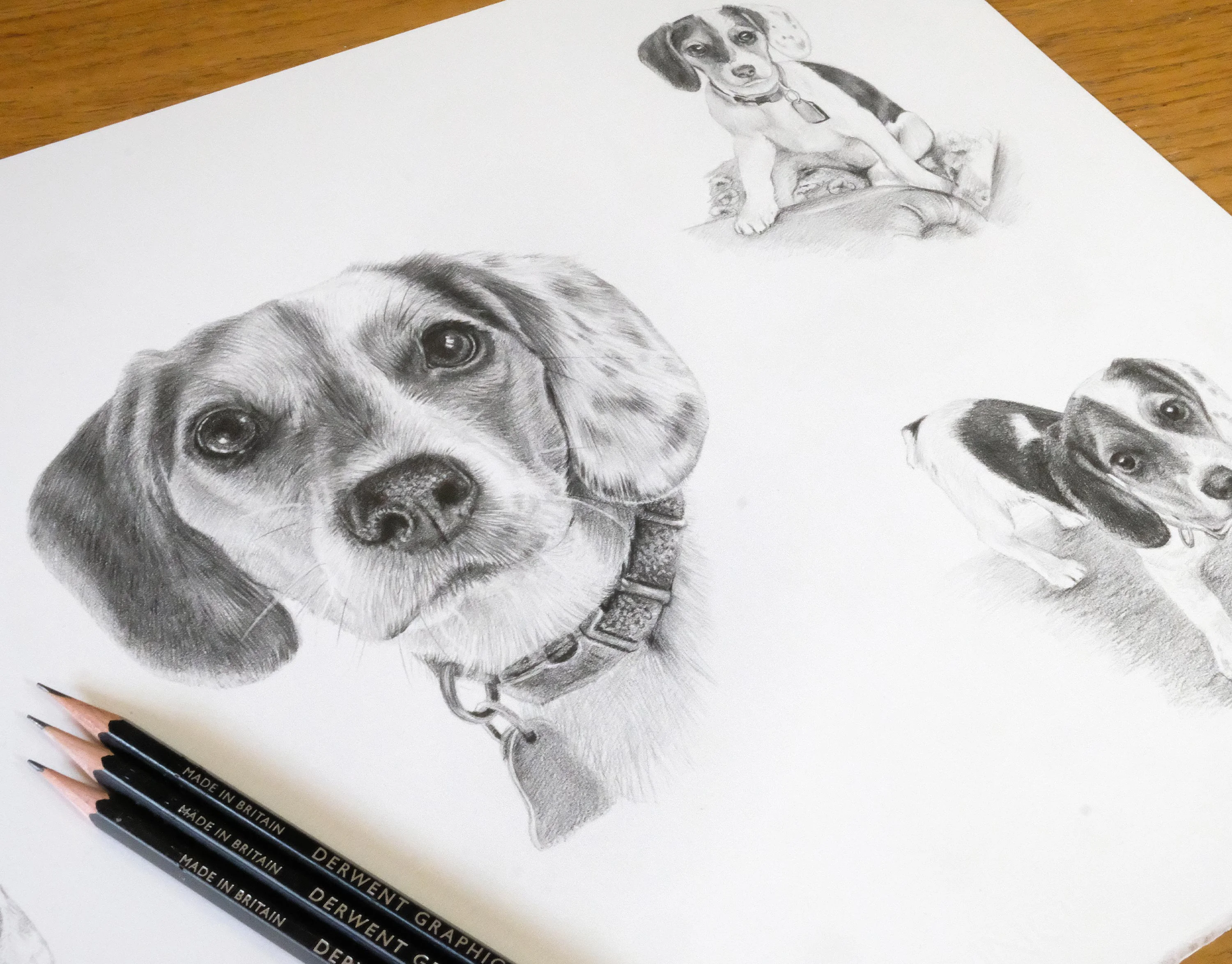 Pencil Pet Portraits