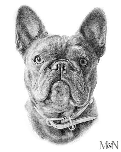 pencil portrait