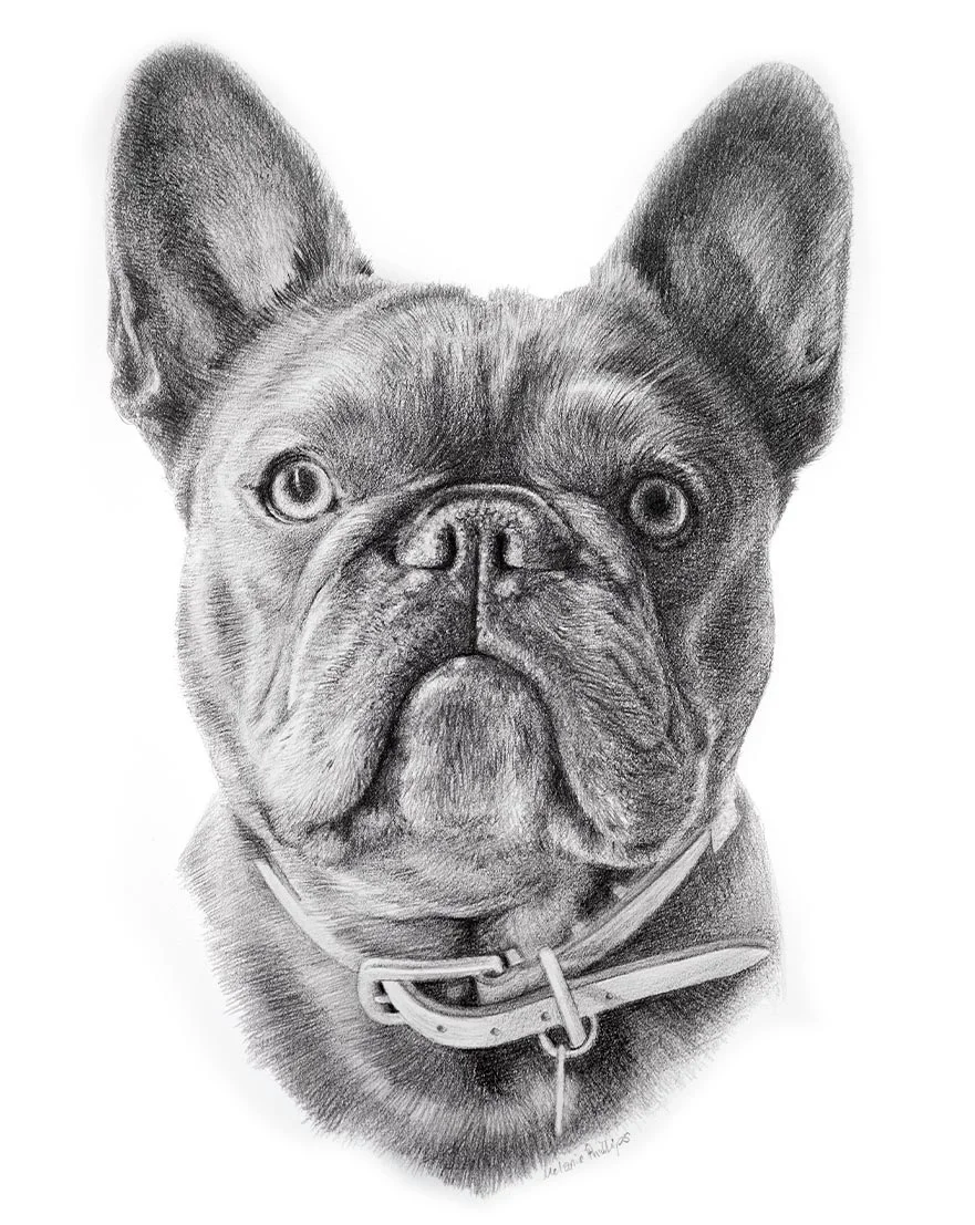 Pencil portraits reference photos