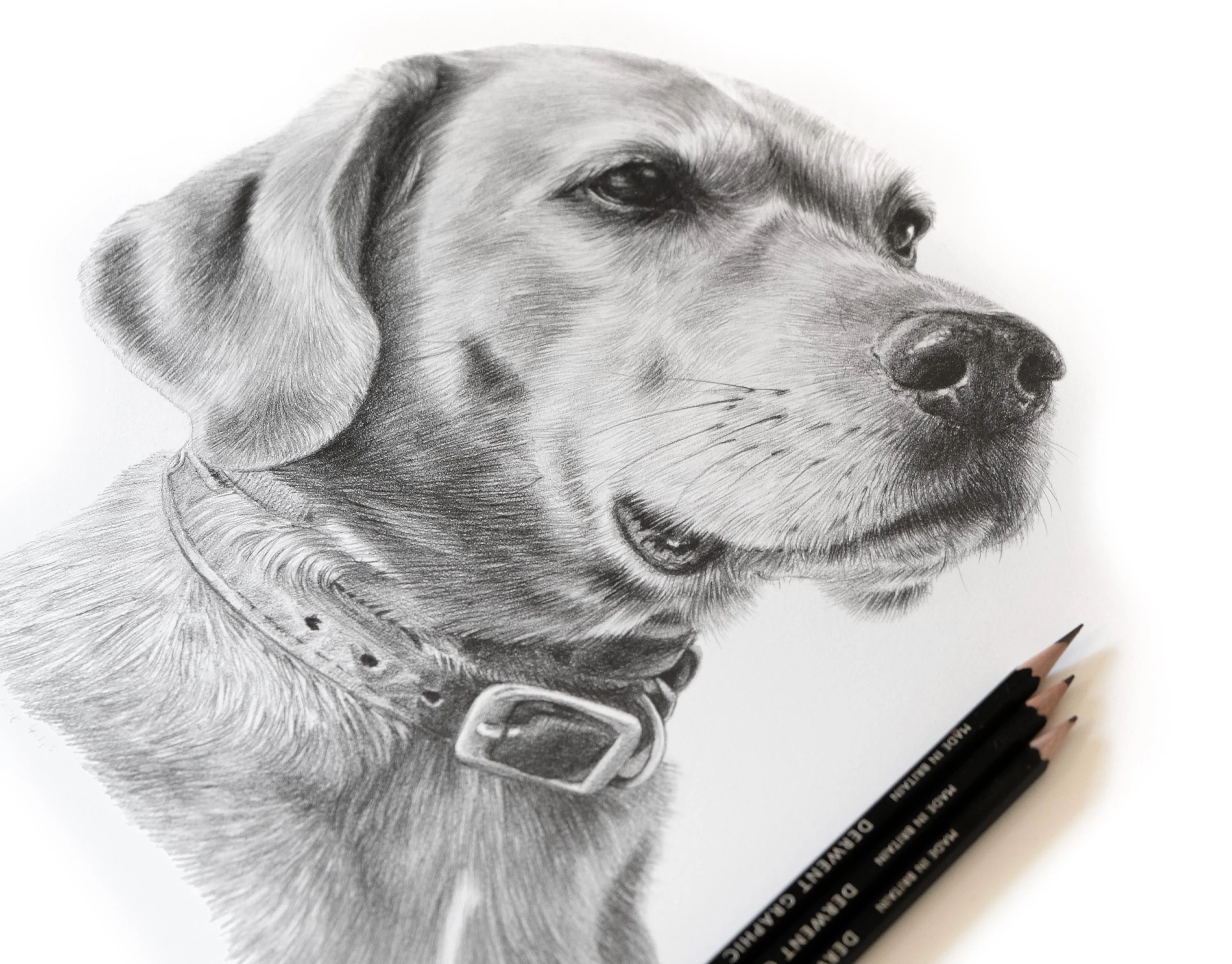 Pencil Portraits