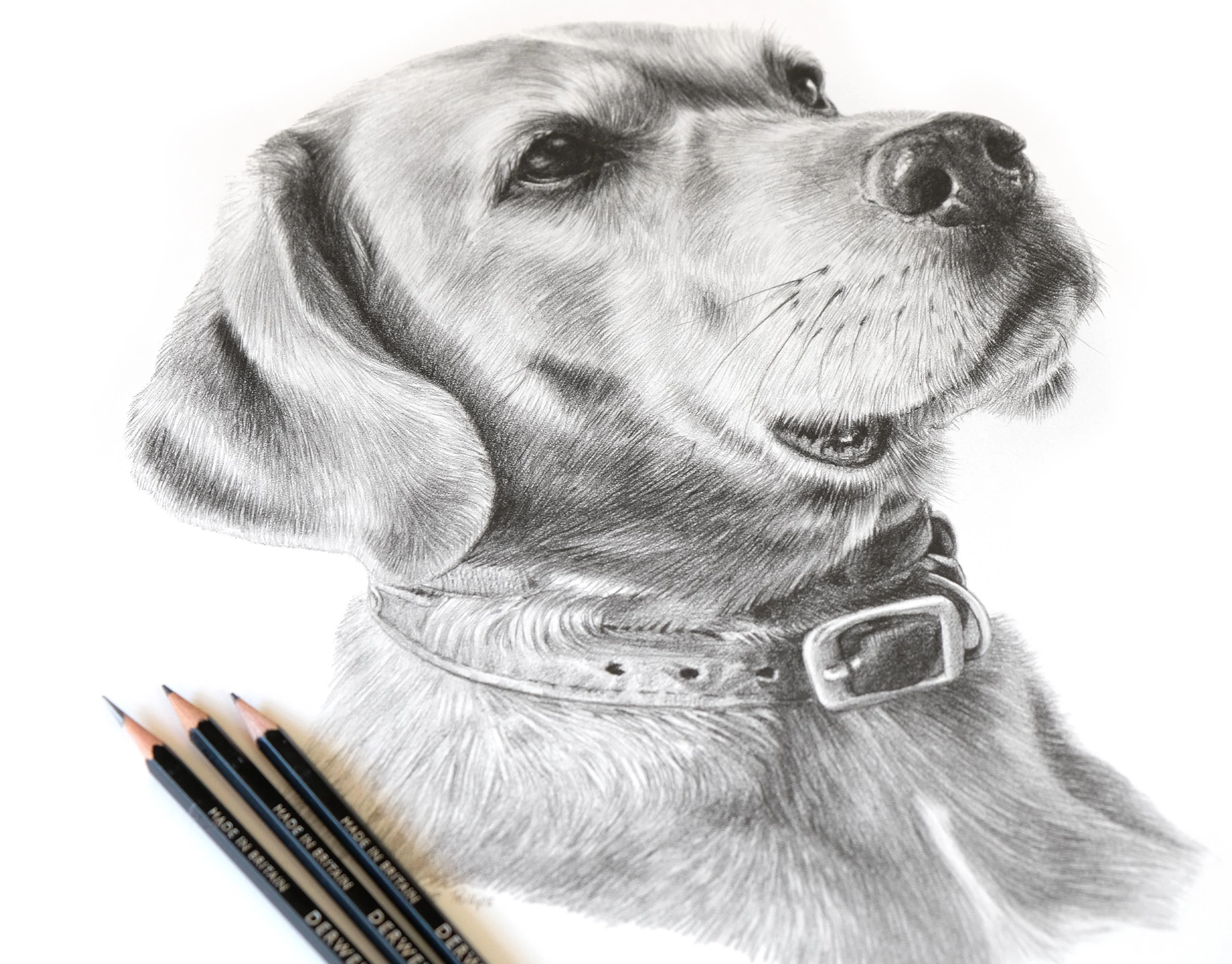 Pencil Portraits