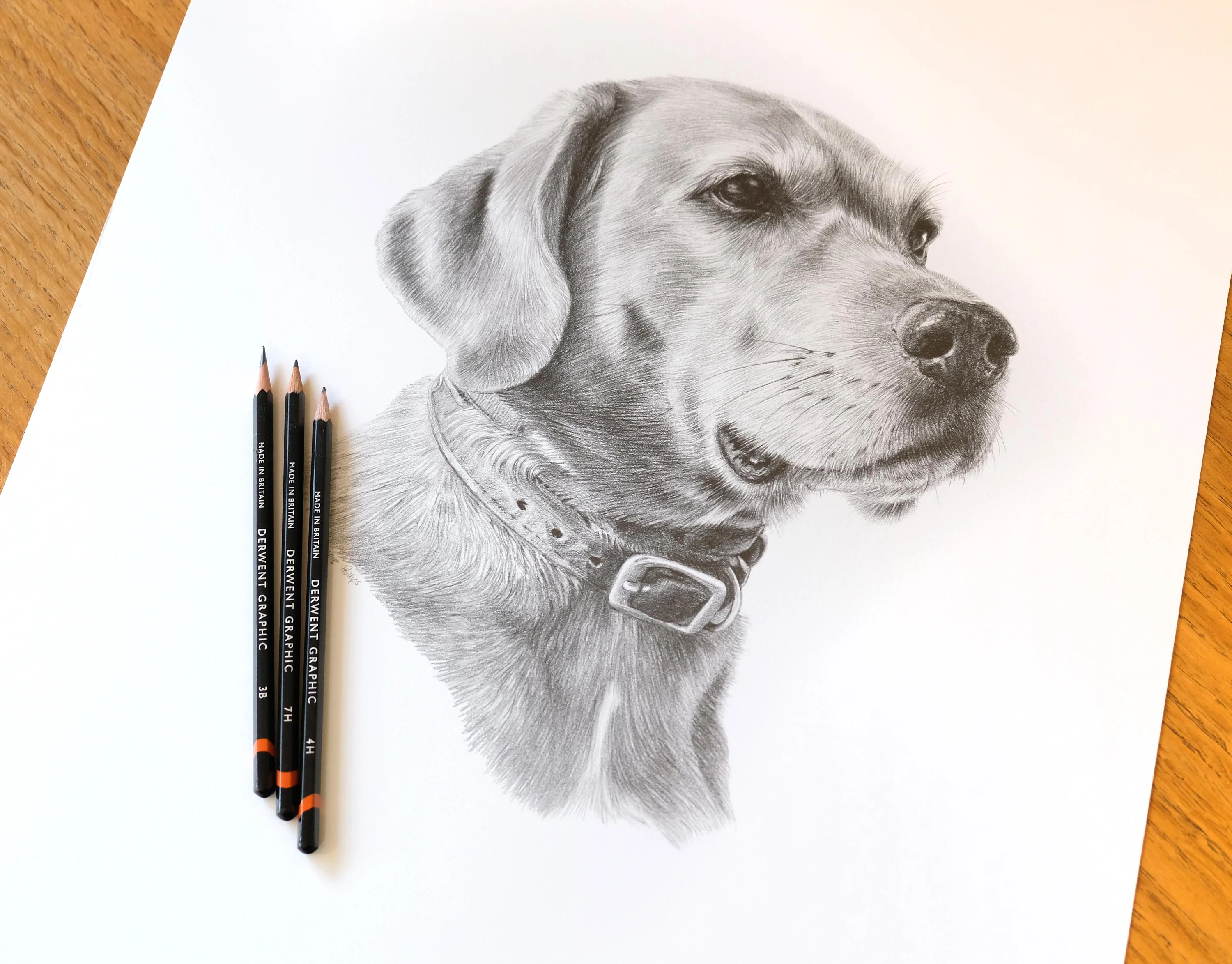 Pencil Portraits