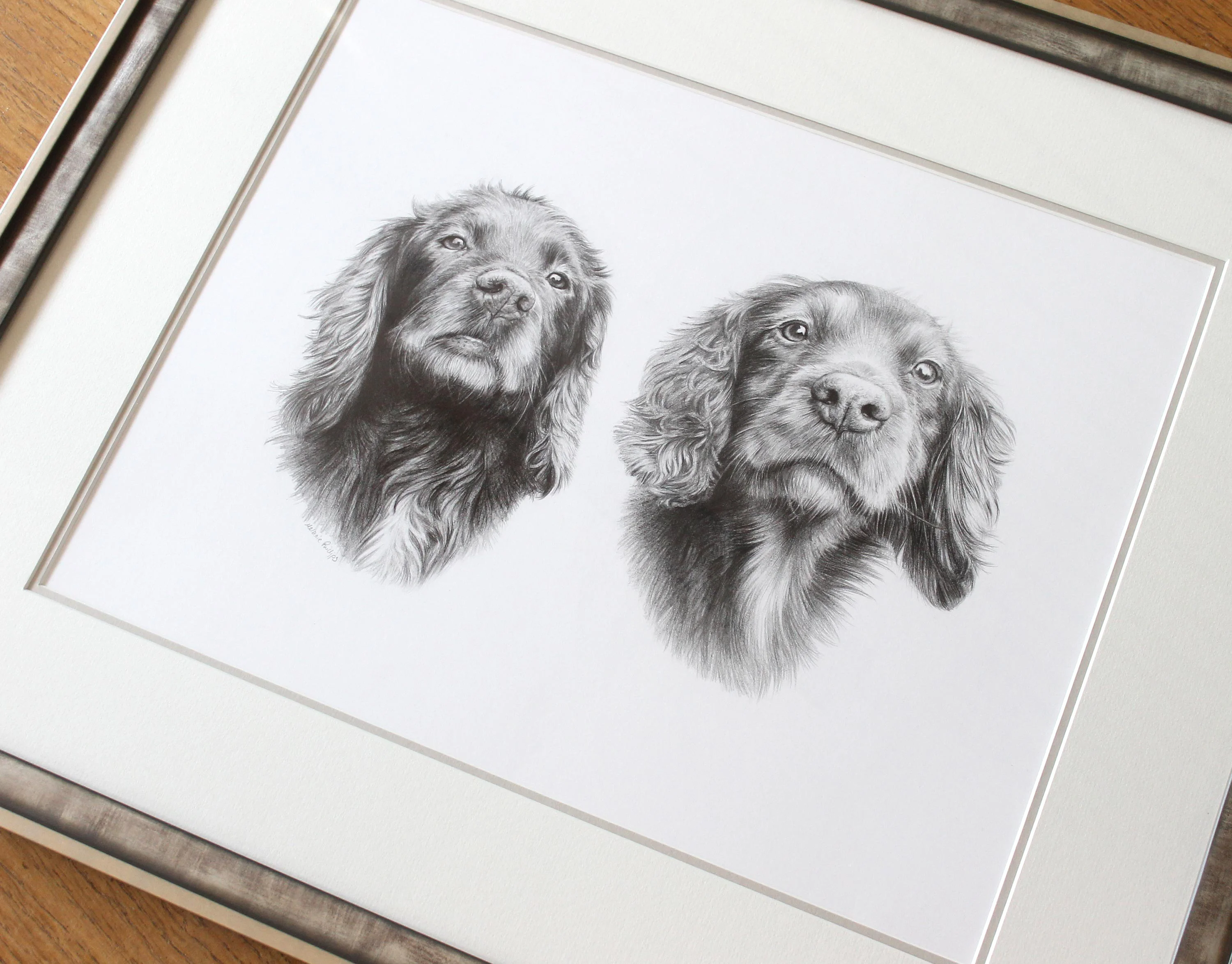 Spaniel Pencil Pet Portraits Framed