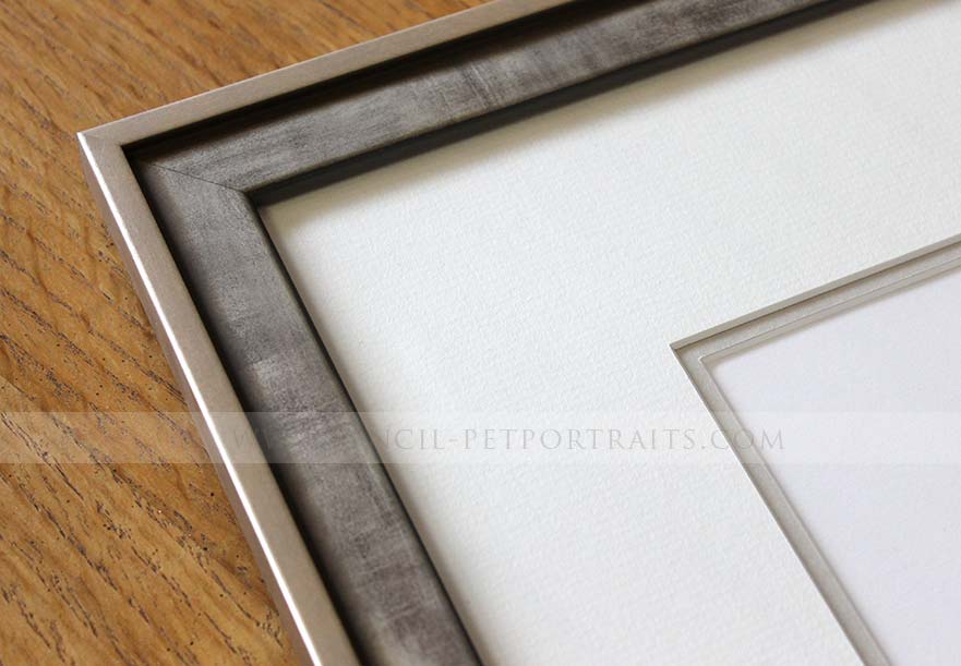 Spaniel Pencil Pet Portraits Framed