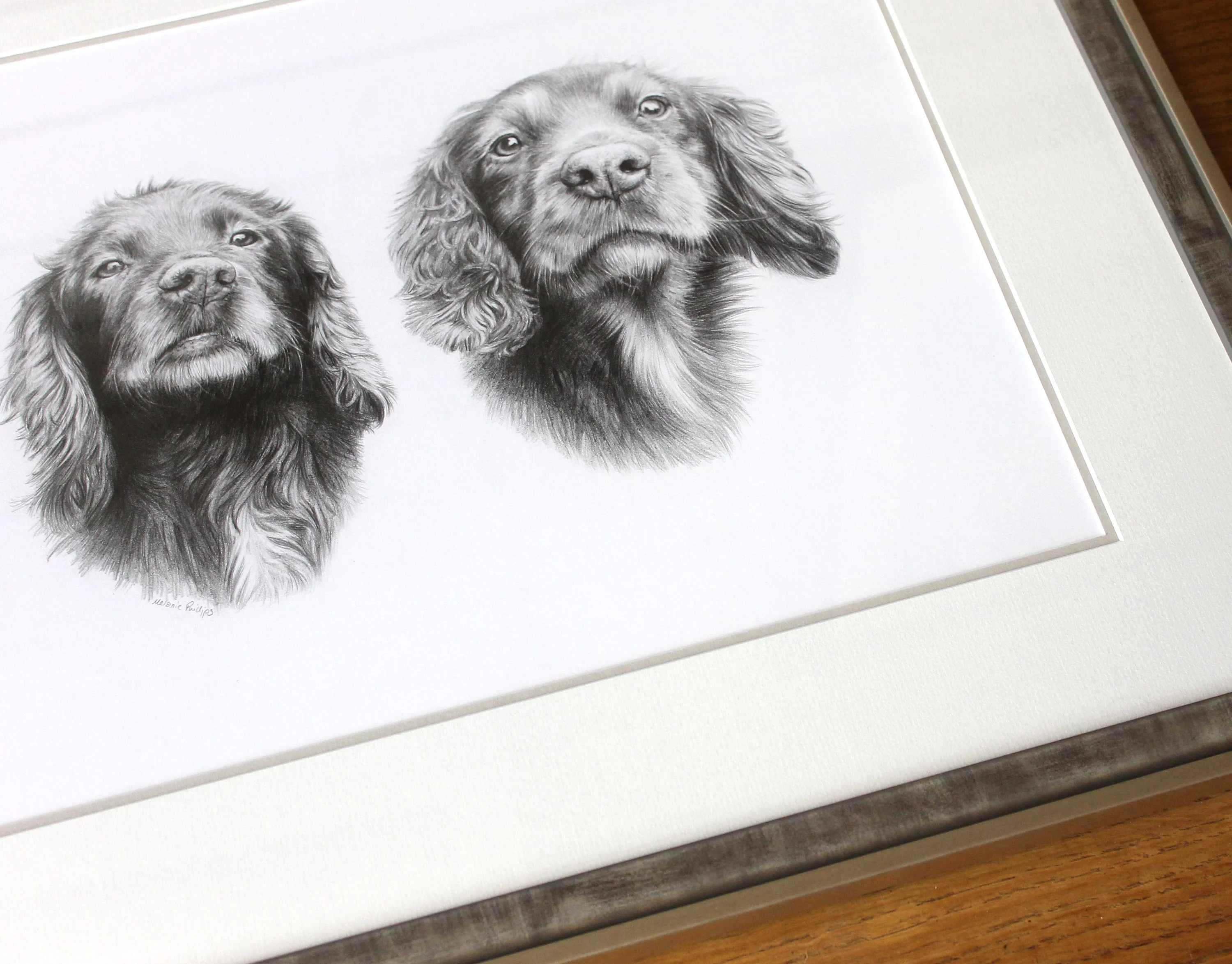 Spaniel Pencil Pet Portraits Framed