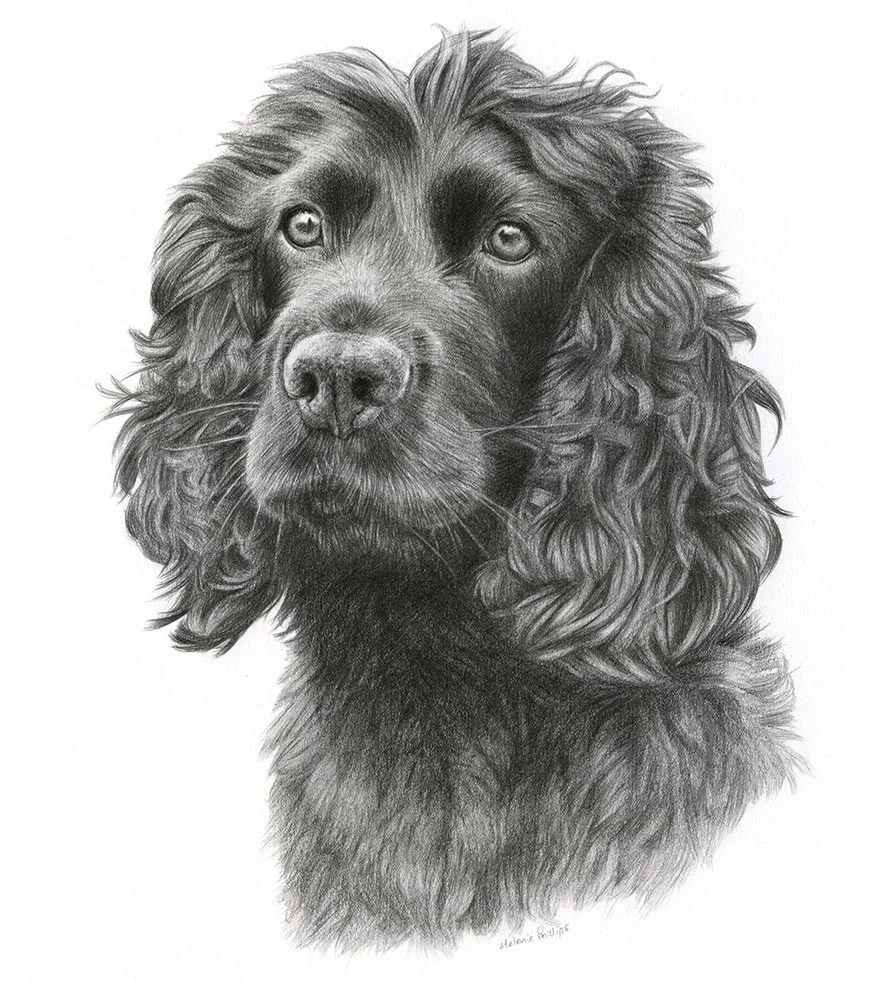 Pencil Reference Photos