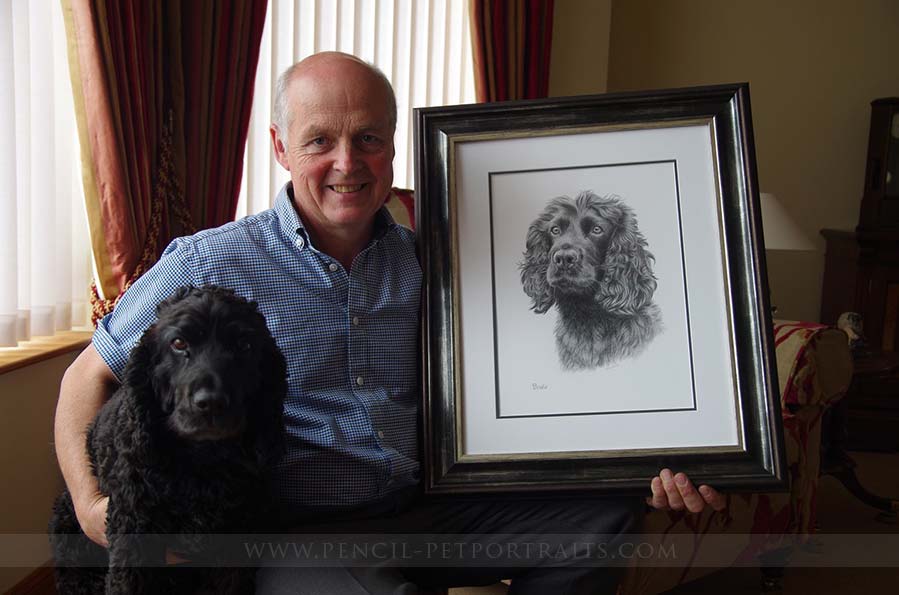 Spaniel Pencil Portraits