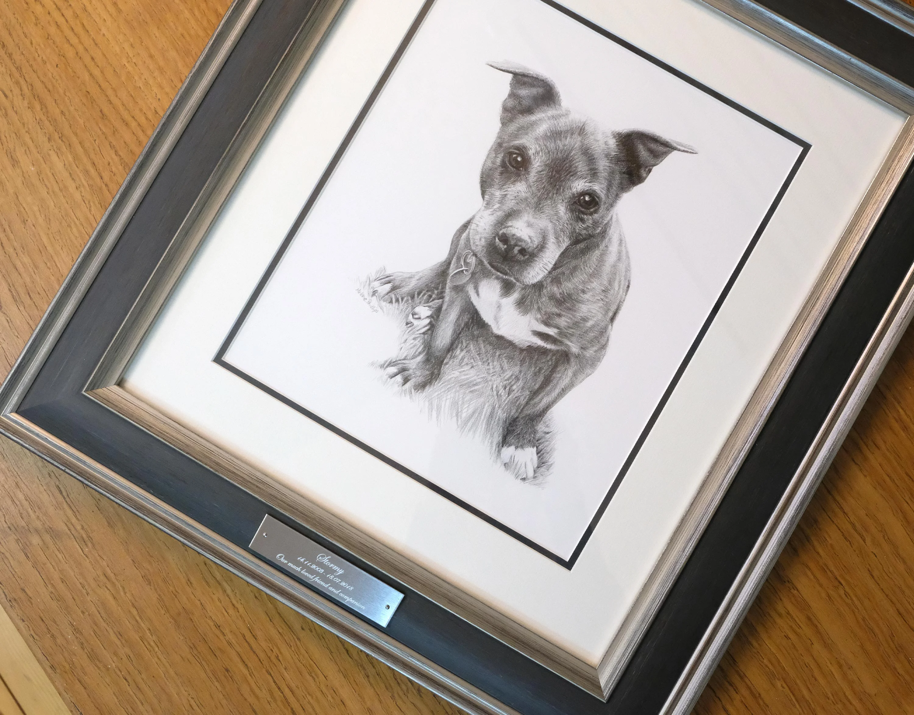 Staffy Pet Portraits Framed