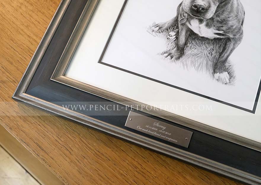 Staffy Pet Portraits Framed