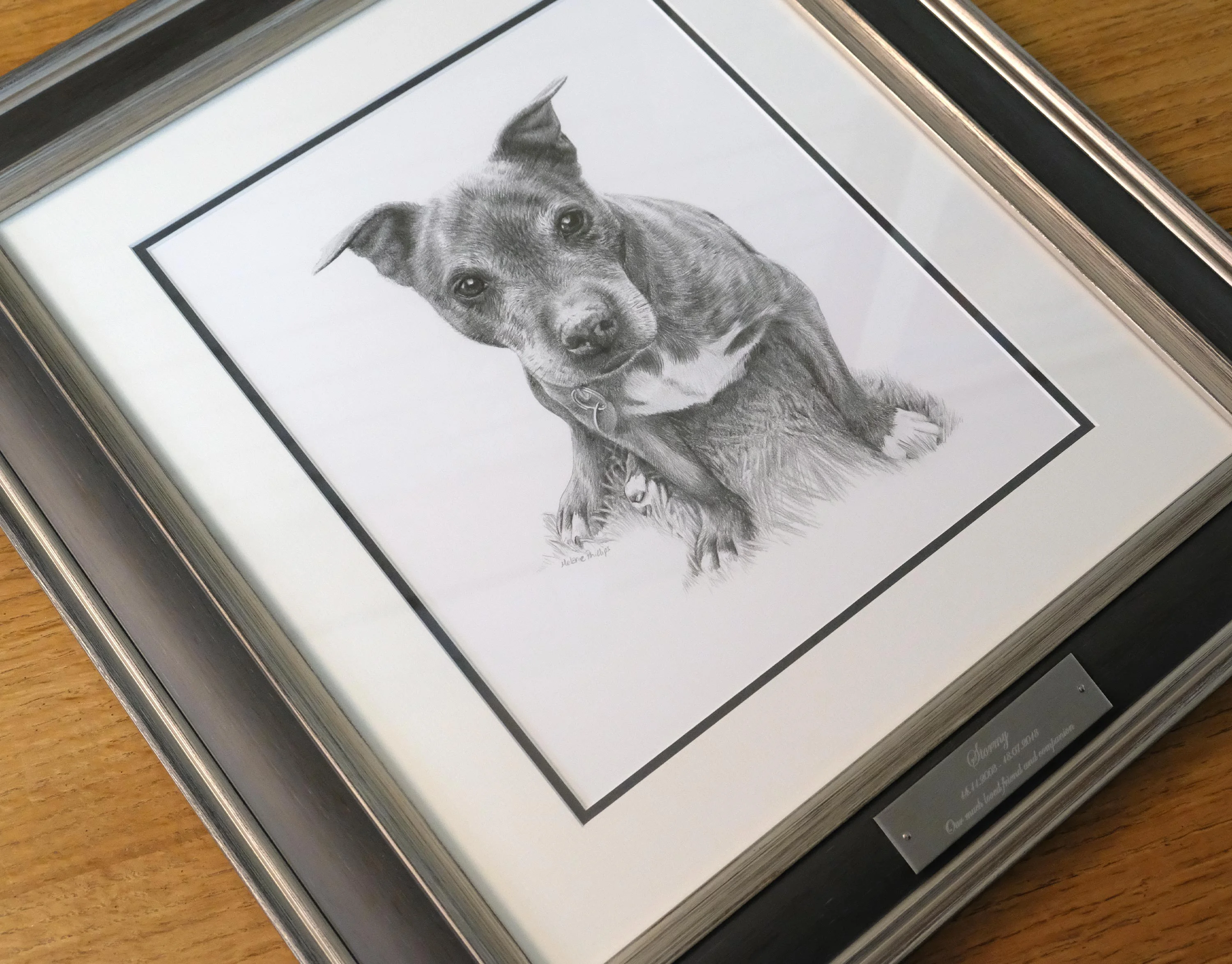 Staffy Pet Portraits Framed