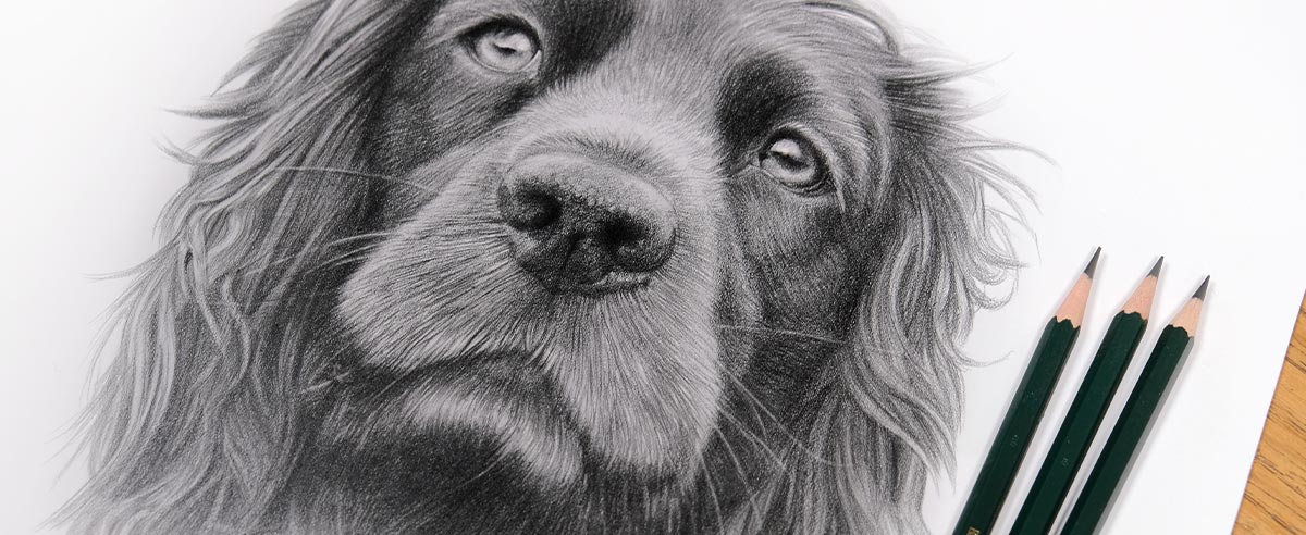 Hand Drawn Pencil Portraits from Photos, Pencil Portrait Drawing