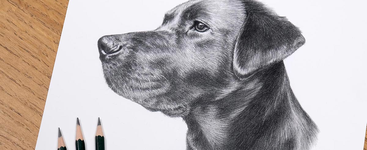 Pencil Portraits In Detail