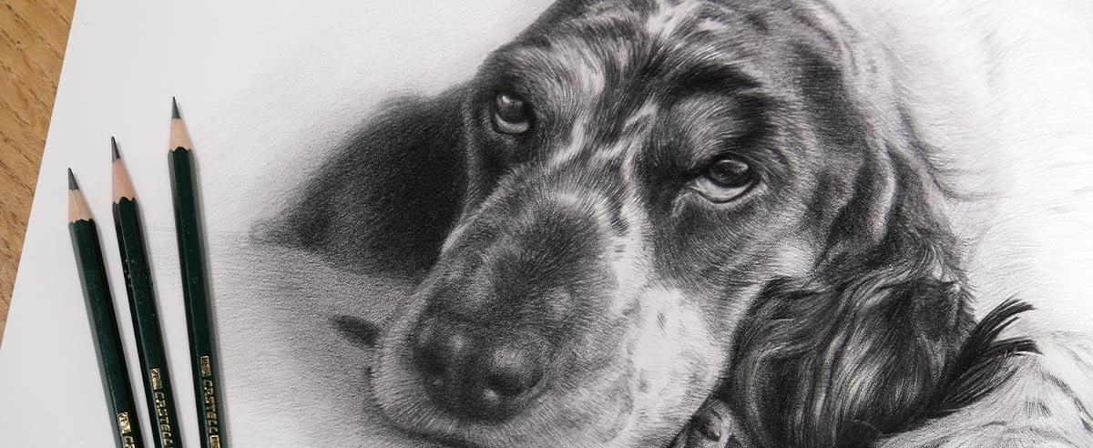 Pencil Portraits In Detail