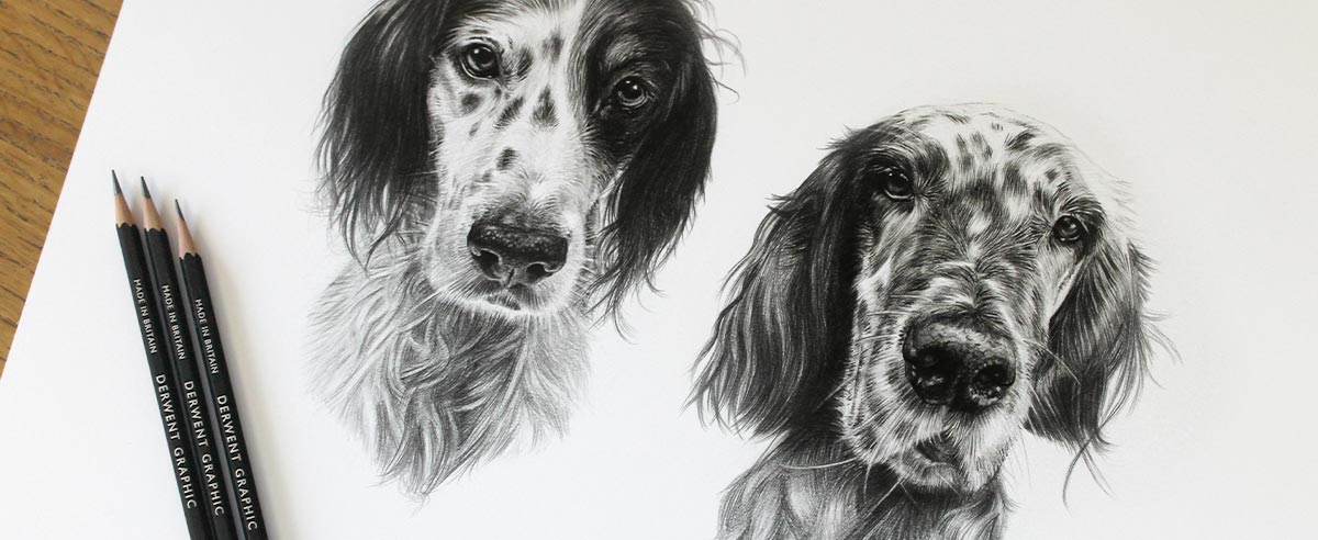 Pencil Portraits In Detail