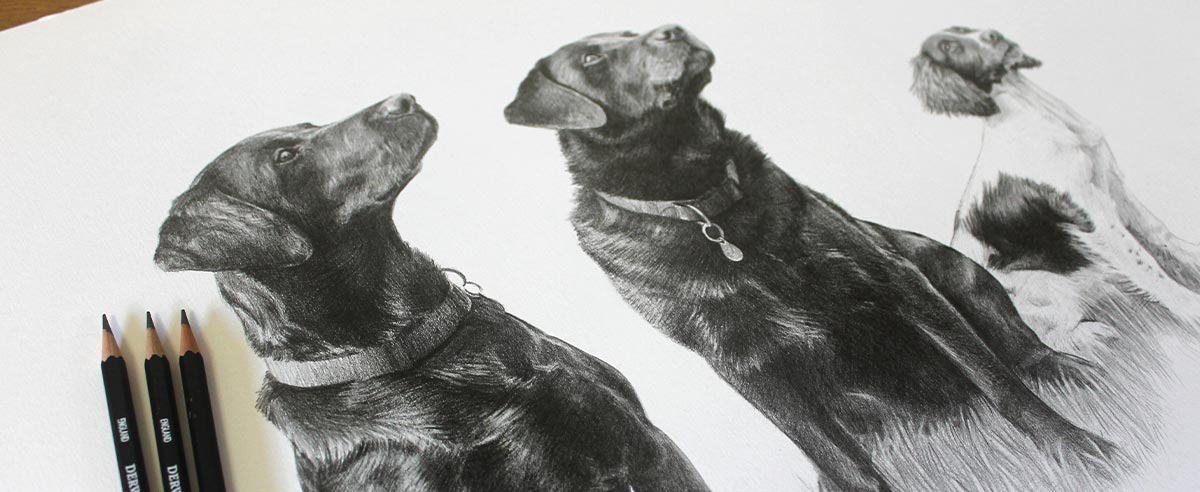 Pencil Portraits In Detail