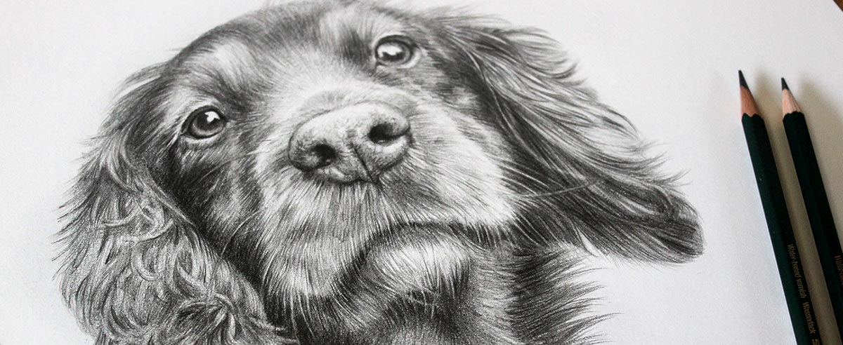 Pencil Portraits In Detail