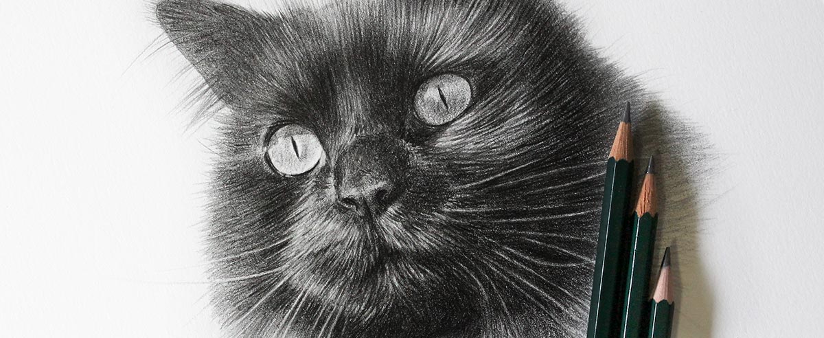 Pencil Portraits In Detail