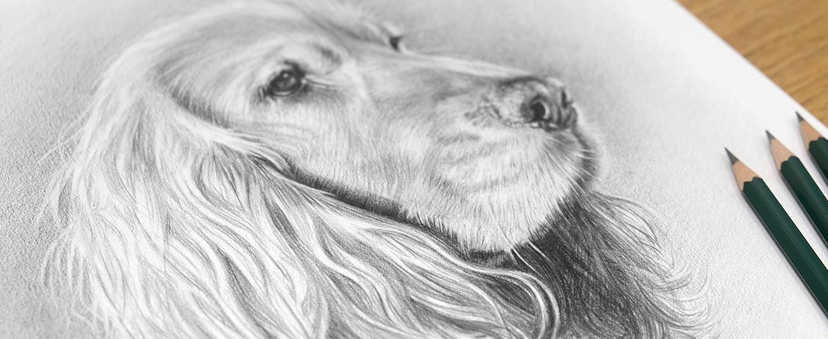 Pencil Portraits In Detail