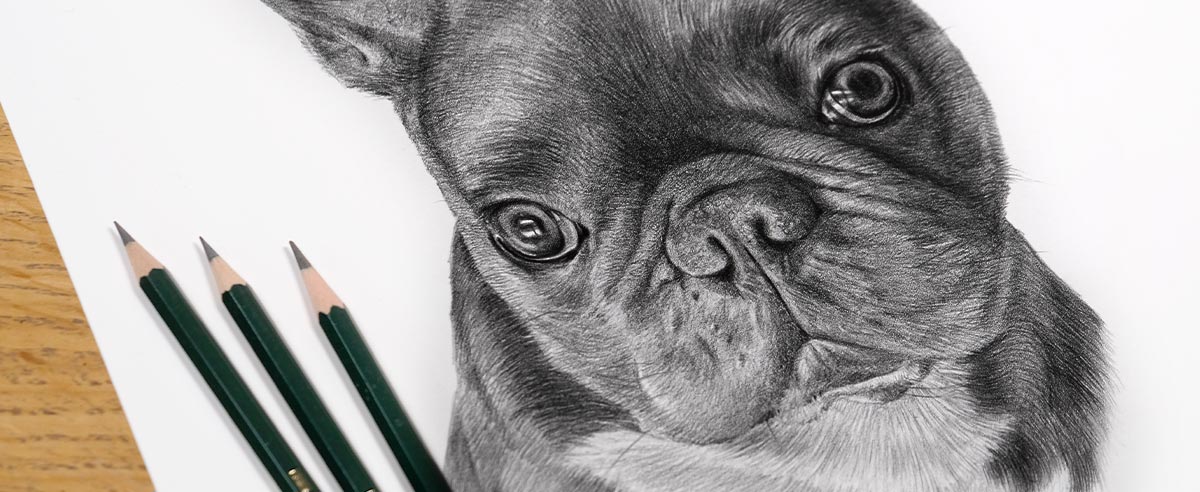 Pencil Portraits In Detail