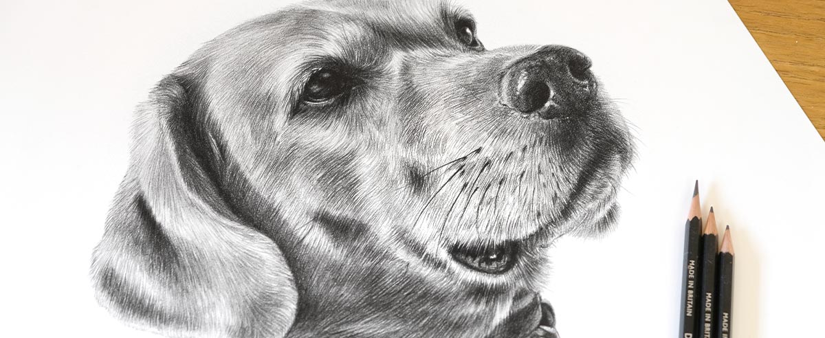 Pencil Portraits In Detail