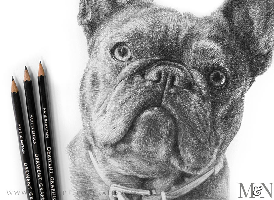 Pencil Portraits In Detail
