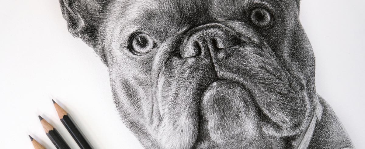 Pencil Portraits In Detail