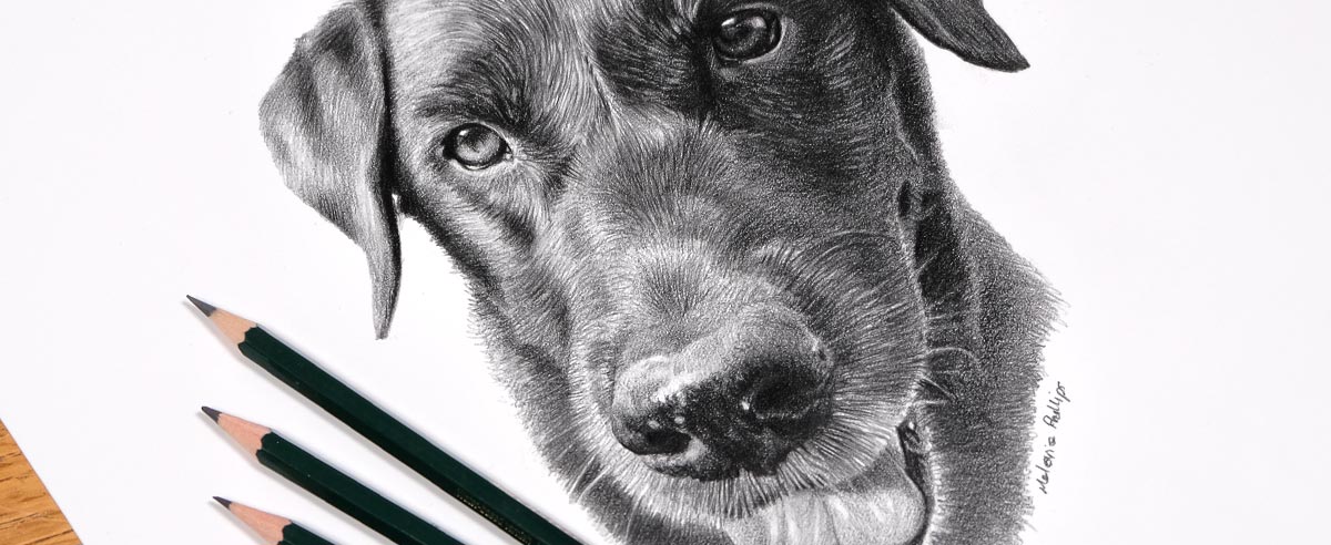 Pencil Portraits In Detail