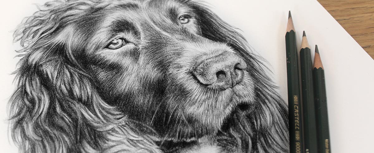 Pencil Portraits In Detail